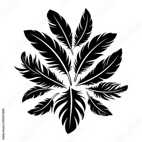 plumas, penacho, árbol, vector, hojas, fábrica, naturaleza, designio, silueta, dechado, floral, ilustración, sucursal, trigo, arte, flor, decoraciones, césped, verano, bambus, verde, nativo, granito, 