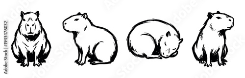 Set of four hand-drawn capybara illustrations in different poses, created with expressive black ink brush strokes in a simple, minimalist Japanese sumi-e painting style