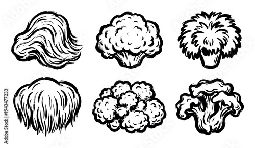 Set of six hand-drawn vegetable illustrations including broccoli and cauliflower, rendered in a bold black ink brushstroke style for a graphic, artistic, and organic feel