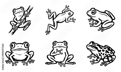 Set of six black ink frog illustrations in a hand-drawn sketch style showing various poses like sitting, climbing a branch, and leaping in a simple graphic collection