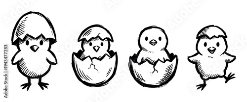 Four cute hand-drawn baby chicks hatching from cracked eggs in a charming doodle style illustration set, perfect for Easter or spring themes showing new life and beginnings