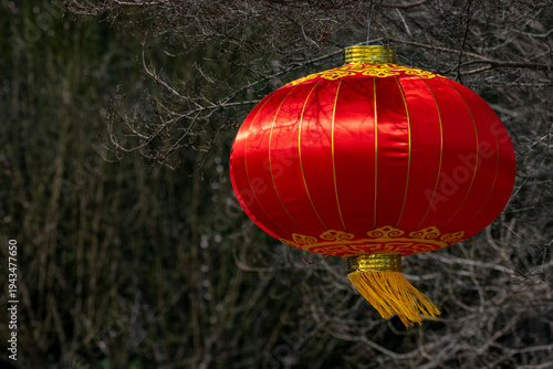 Chinese Lantern