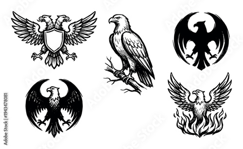Set of five black ink illustrations of majestic eagles and a phoenix in various poses, including a heraldic double-headed eagle with a shield and a bird rising from flames