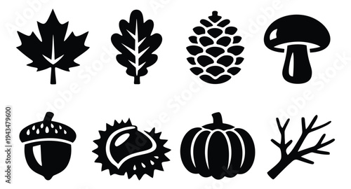 Silhouette icon set of 8 autumn nature symbols featuring leaf, acorn, pumpkin, mushroom, pinecone and branch for seasonal design
