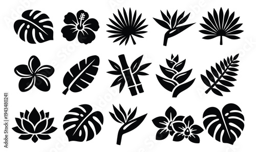 Silhouette icon set of 15 tropical plants featuring monstera, hibiscus, palm leaf, bamboo, lotus and exotic flowers for botanical design