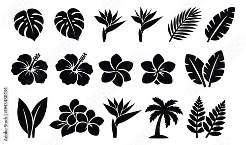 Silhouette icon set of 15 tropical plants featuring monstera leaves, hibiscus flowers, palm tree and exotic foliage for summer design