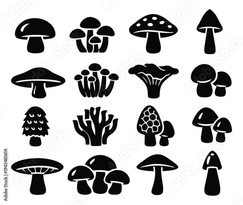 Silhouette icon set of 16 mushrooms featuring porcini, chanterelle, morel and cluster varieties for nature and food design