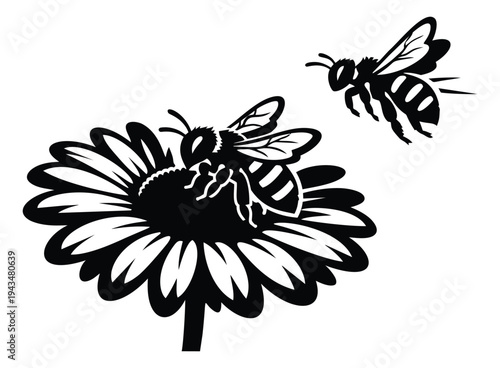 Silhouette illustration of two bees on a daisy flower depicting pollination for nature and garden design
