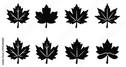 Silhouette icon set of 8 maple leaf shapes featuring varied foliage designs for nature and Canadian themed projects