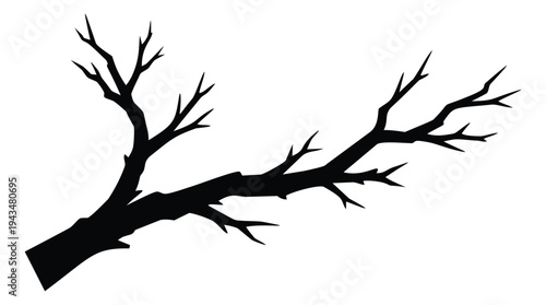 Silhouette illustration of bare tree branch depicting leafless twigs for nature and seasonal design