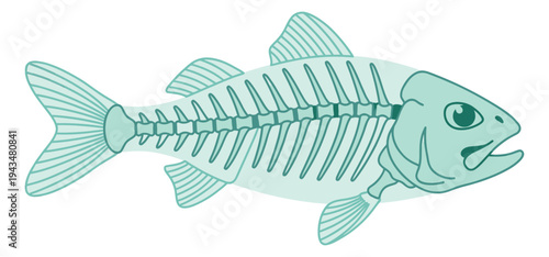 Flat cartoon illustration of a fish skeleton depicting full body anatomy with visible bones for nature and seafood design