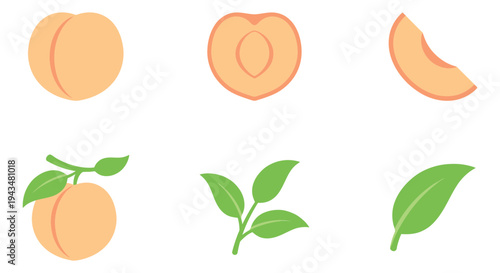 Flat icon set of 6 peach fruit elements featuring whole peach, cross section, slice, leaves and branch for food design
