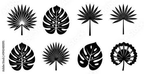 Silhouette icon set of 8 tropical leaves featuring monstera and fan palm foliage for botanical and summer design