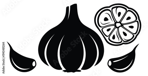 Silhouette illustration of garlic bulb depicting whole head cloves and cross section cut for food and culinary design