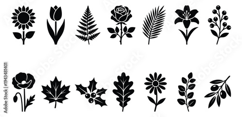 Silhouette icon set of 14 botanical plants featuring flowers, leaves and berries for nature and floral design