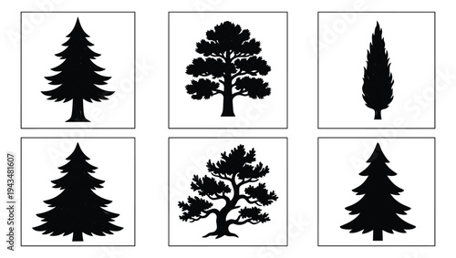 Silhouette icon set of 6 trees featuring pine, oak, cypress and bonsai varieties for nature and forestry design