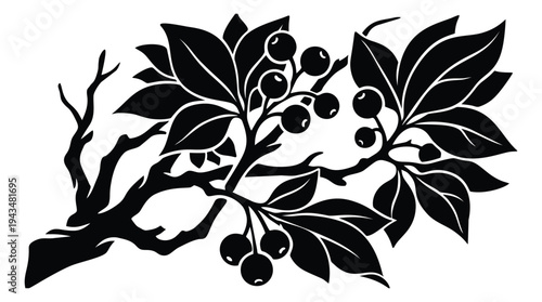 Silhouette illustration of berry branch depicting wild fruit foliage with leaves and round berries for nature and botanical design
