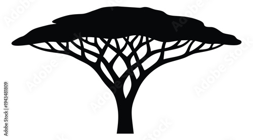 Silhouette illustration of an acacia tree depicting iconic African savanna canopy for nature and travel design