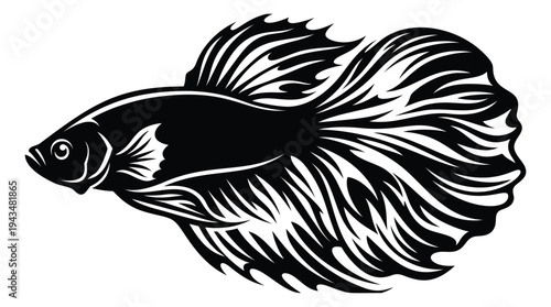 Woodcut illustration of a betta fish depicting flowing fins and dramatic tail detail for aquatic and pet design