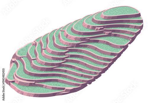 Stylized illustration of lush green rice terraces on a hillside with pinkish-purple retaining walls