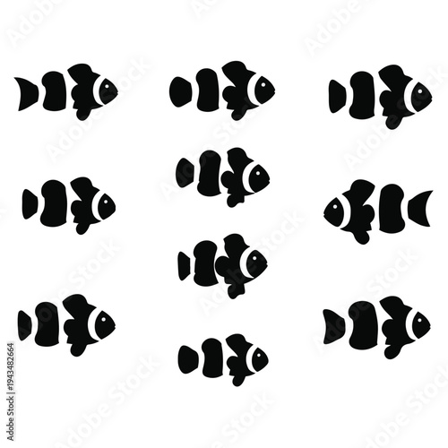 Black and white fish swimming together.
