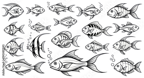 Collection of Hand Drawn Fish Illustrations