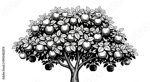 Hand-drawn Apple Tree Illustration with Ripe Fruits and Leaves