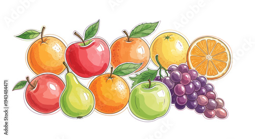 Assortment of Fresh Fruits: Apples, Oranges, Pears, Grapes, and Citrus Slice