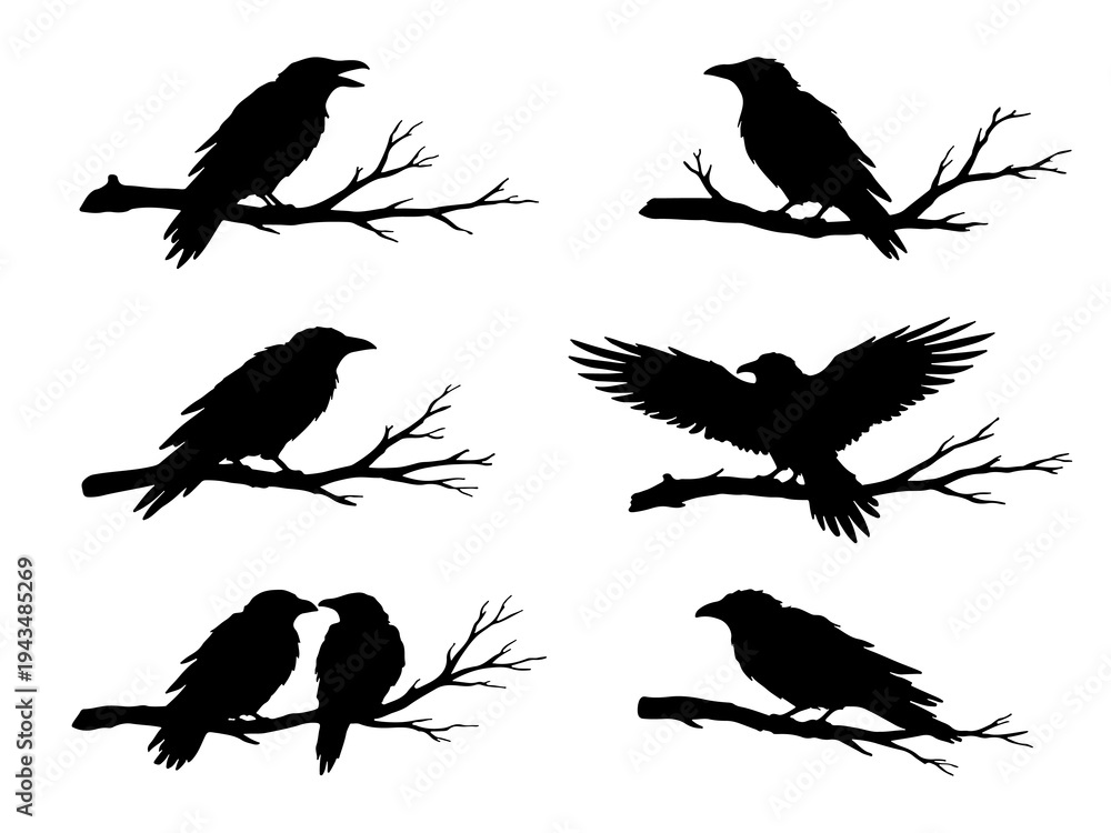 Naklejka premium Set of raven or crow silhouettes perched on tree branches. Black bird vector collection isolated on white background.