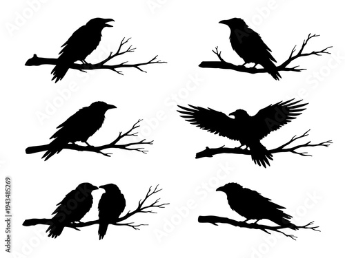 Set of raven or crow silhouettes perched on tree branches. Black bird vector collection isolated on white background.