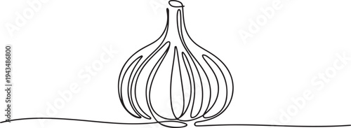 Continuous one line drawing garlic. Vegetable concept. Single line draw design vector graphic illustration. one line Icon drawing