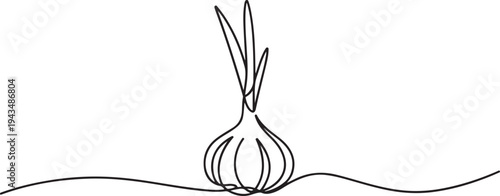 Continuous one line drawing garlic. Vegetable concept. Single line draw design vector graphic illustration. one line Icon drawing