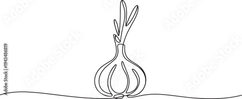 Continuous one line drawing garlic. Vegetable concept. Single line draw design vector graphic illustration. one line Icon drawing