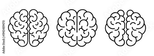 Human brain anatomy diagram illustration for medical education and science learning resources design
