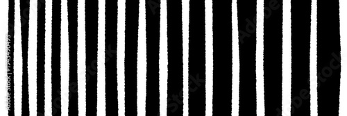 Hand Drawn Black and White Zebra Stripe Pattern for Textile Design