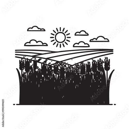 Golden wheat field under sunny summer sky with clouds and plants
