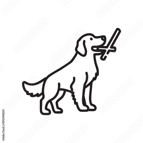 A golden retriever fetching a stick outdoors in a playful scene with a dog.