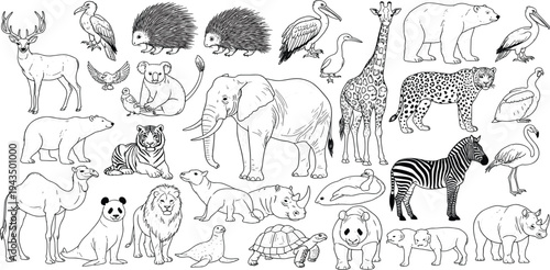 Large Set of Hand Drawn Wildlife Animal Sketches Featuring Elephant, Giraffe, Tiger, Polar Bear, and Zebra for Educational Books, Nature Conservation, and Safari Theme Graphics