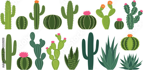 Large Collection of Flowering Cactus and Succulent Vector Illustrations Featuring Saguaro Prickly Pear and Aloe Vera Plants for Desert Landscape and Botanical Graphic Designs