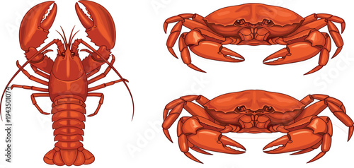 Lobster and Crab Seafood Vector Illustration Set with Detailed Marine Shellfish for Restaurant Menu Ocean Food Design and Fishing Industry Graphics