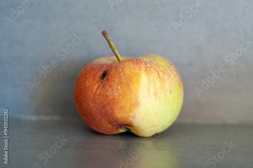 Fotografie old apple with stem on grey surface, concept of healthy food, grocery, agricultu
