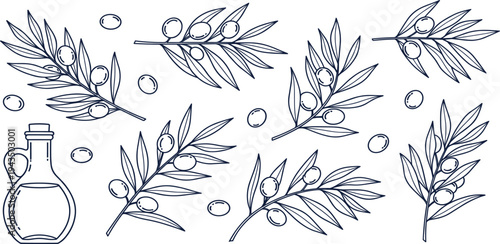 Olive Branch and Olive Oil Bottle Line Art Illustration Set with Hand Drawn Mediterranean Olive Leaves and Fruits Vector Collection for Organic Food Design