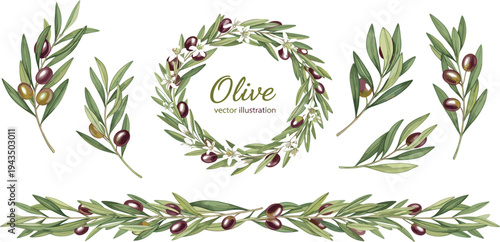 Olive Branch and Wreath Vector Illustration Set with Green Leaves and Ripe Olives for Mediterranean Design, Organic Branding and Rustic Decoration