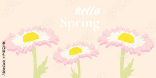 Pastel spring illustration with daisy flowers and Hello Spring text. Floral seasonal poster design with soft colors and botanical elements, perfect for greeting cards, banners, posters, and seasonal m