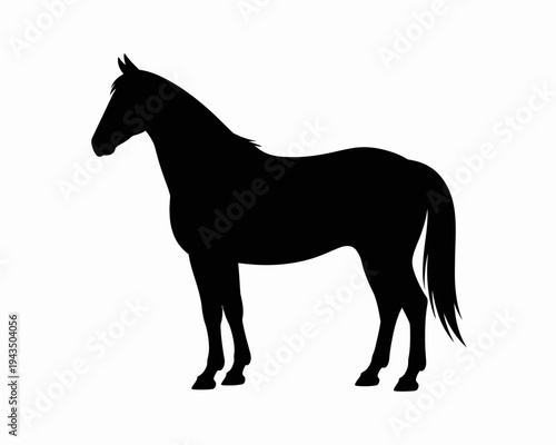 Black silhouette of a horse standing.