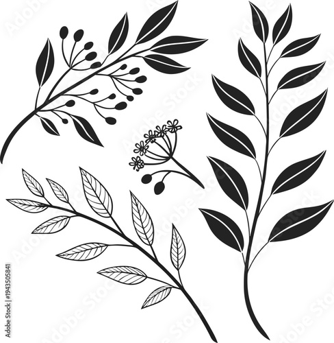 Bold botanical leaf sprig silhouette collection
