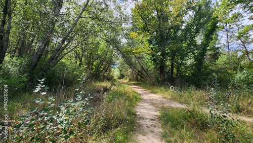 Armidale State Forest, New South Wales, Australia