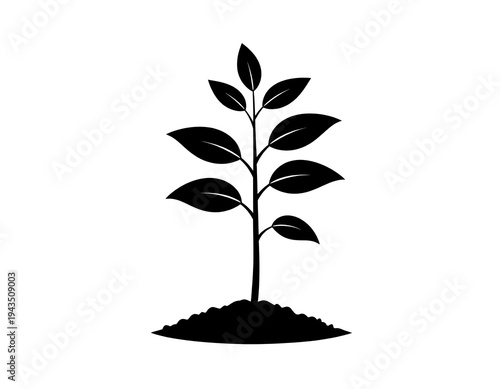 A simple, black silhouette of a growing plant. The plant features leaves of various sizes, with its base set in soil