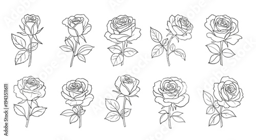 Whimsical line drawing of twelve stylized flowers arranged in a grid pattern isolated on transparent background, Vector