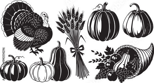 Thanksgiving harvest illustration with turkey and pumpkins vector graphics